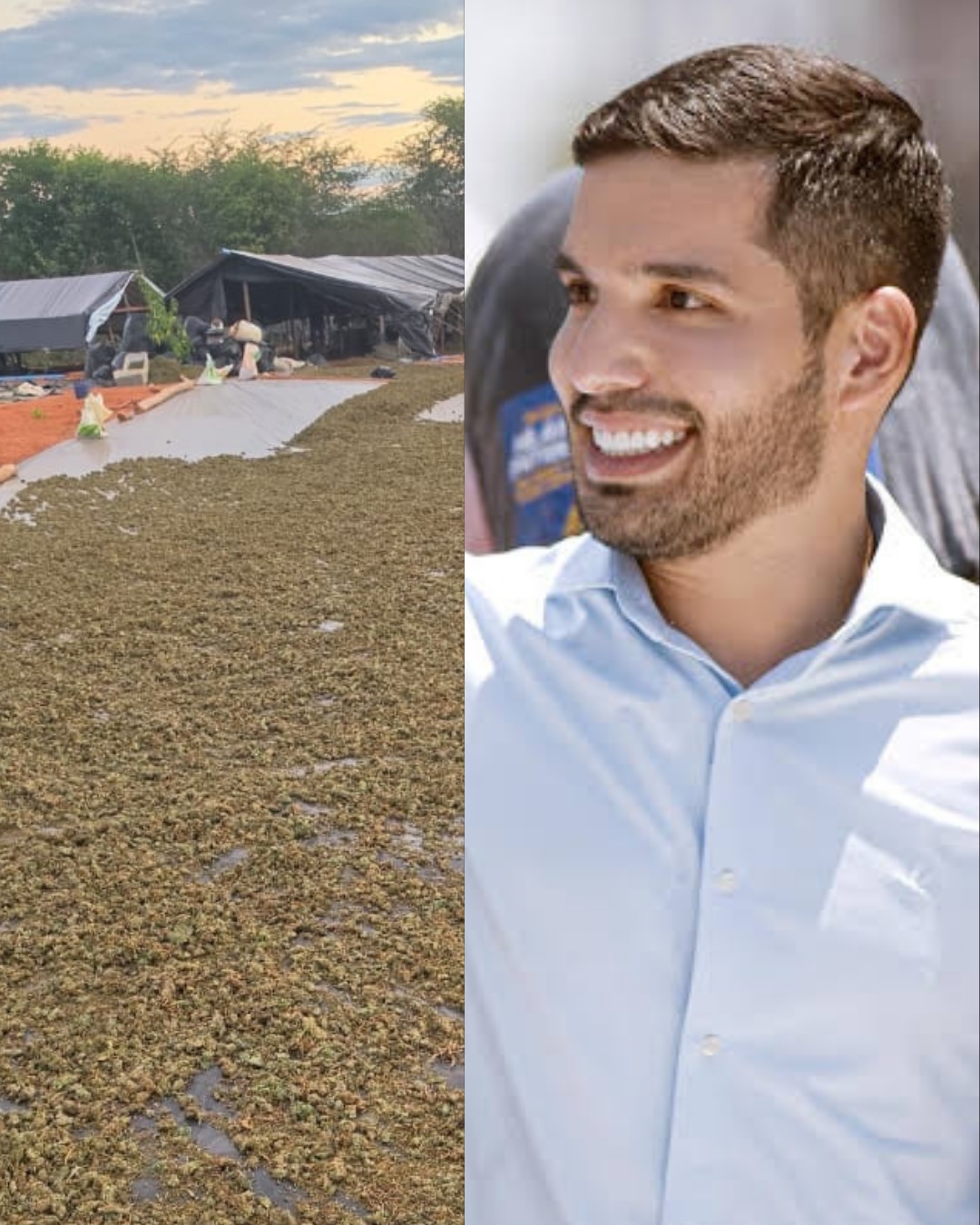 Nota de esclarecimento divulgada pela SSPDS-CE e pela Polícia Civil do Ceará confirma abertura de inquérito sobre falha na custódia da plantação de maconha apreendida em Acopiara