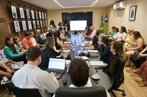Nova linha de cuidado busca tornar mais ágil e humanizado o atendimento às vítimas de violência sexual no Piauí. (Foto: Sesapi)