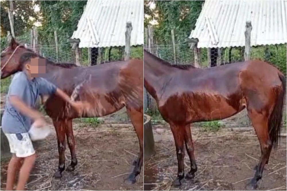 Ok