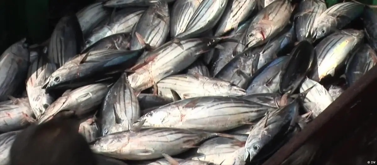 Pescados