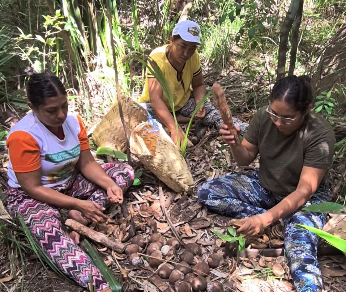 Quebradeiras de Coco Babaçu no Piauí