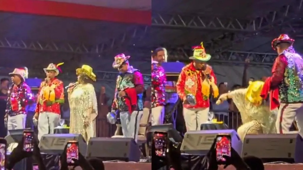 Alcione se desequilibrou durante apresentação e caiu em cima do palco