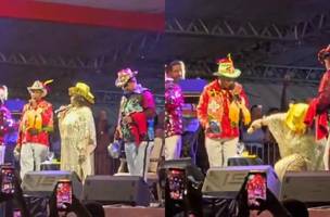 Alcione se desequilibrou durante apresentação e caiu em cima do palco (Foto: Reprodução/Redes Sociais)