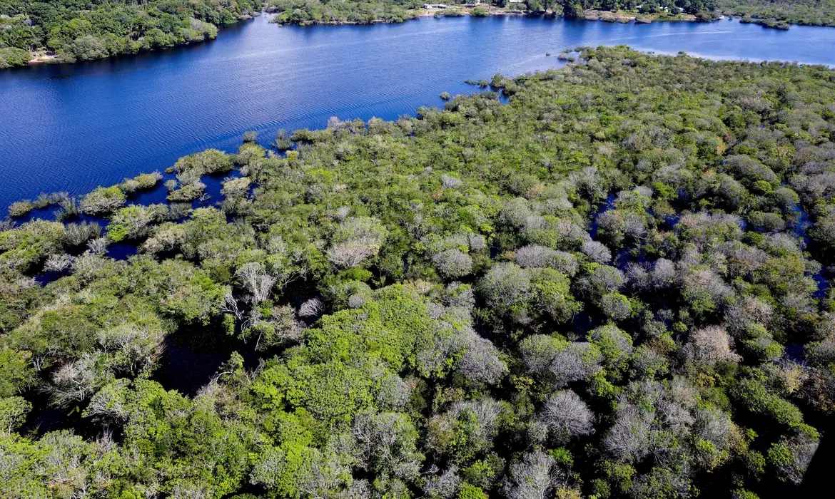 Amazônia registrou 1.295 km² sob alerta de desmatamento no primeiro semestre de 2026.