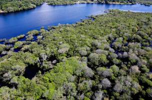 Amazônia registrou 1.295 km² sob alerta de desmatamento no primeiro semestre de 2026. (Foto: Agência Brasil)