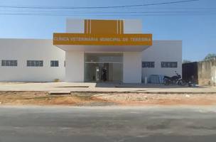 Clinica Veterinária Municipal de Teresina (Foto: Reprodução)