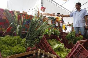 Decreto amplia prazo para adaptação de autônomos e produtores rurais às novas regras da reforma tributária. (Foto: Tânia Rêgo/ Agência Brasil)