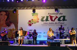 Festival da Uva de São João do Piauí (Foto: Reprodução)