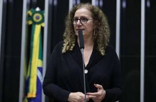 Jandira Feghali (Foto: Mário Agra/Câmara dos Deputados)