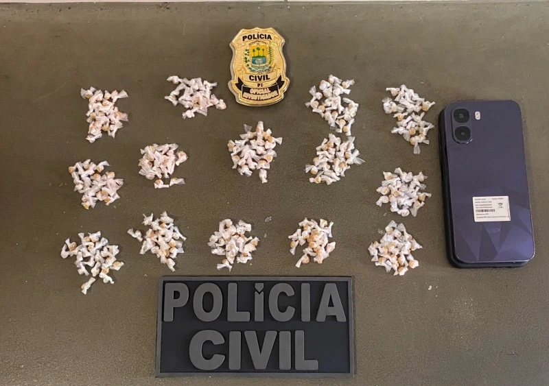 Material apreendido durante a operação