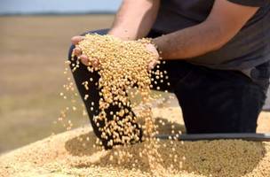 Parte das exportações do agronegócio brasileiro seguirá sujeita à nova tarifa dos Estados Unidos. (Foto: SECOM RR)
