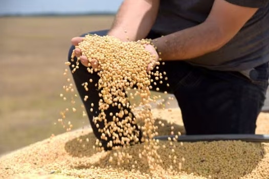 Parte das exportações do agronegócio brasileiro seguirá sujeita à nova tarifa dos Estados Unidos.