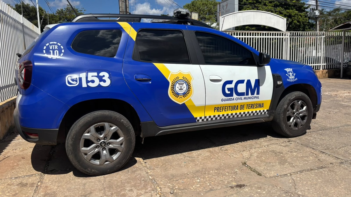 Patrulhamento preventivo concentrou a maior parte das ocorrências atendidas pela Guarda Municipal no semestre.