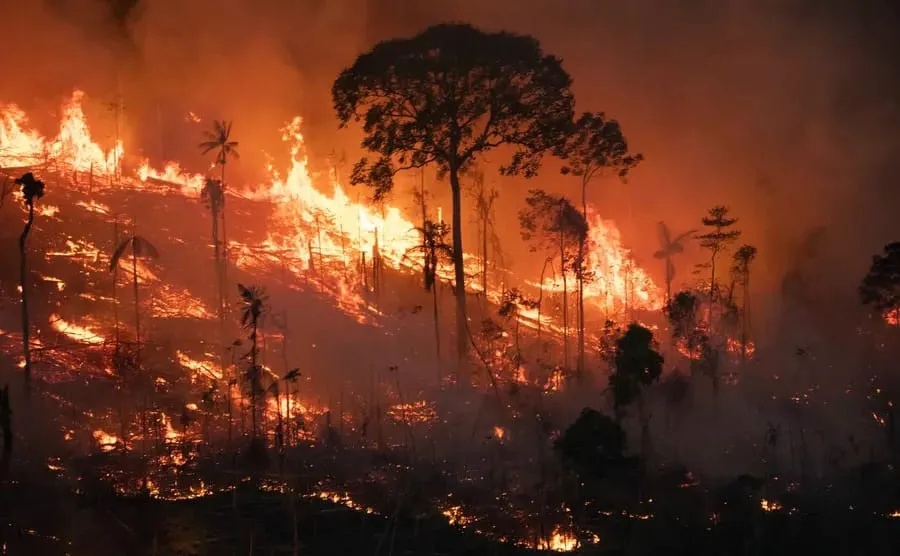 Piauí ocupa a 6ª posição nacional em área queimada desde 1985, aponta MapBiomas.