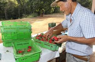 R$ 220 milhões em projetos da agricultura familiar (Foto: Finep)