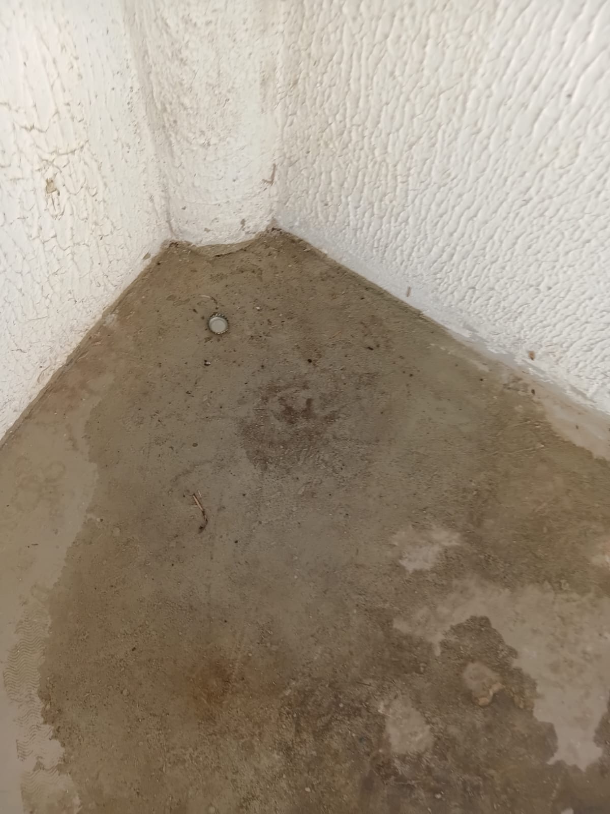 Registro da moradora de água empossada e lixo nas áreas do condomínio