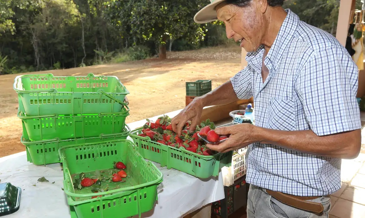 Vai pagar R$ 220 milhões em projetos