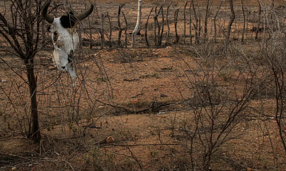 Estiagem afeta municípios nordestinos e amplia demanda por ações de emergência.