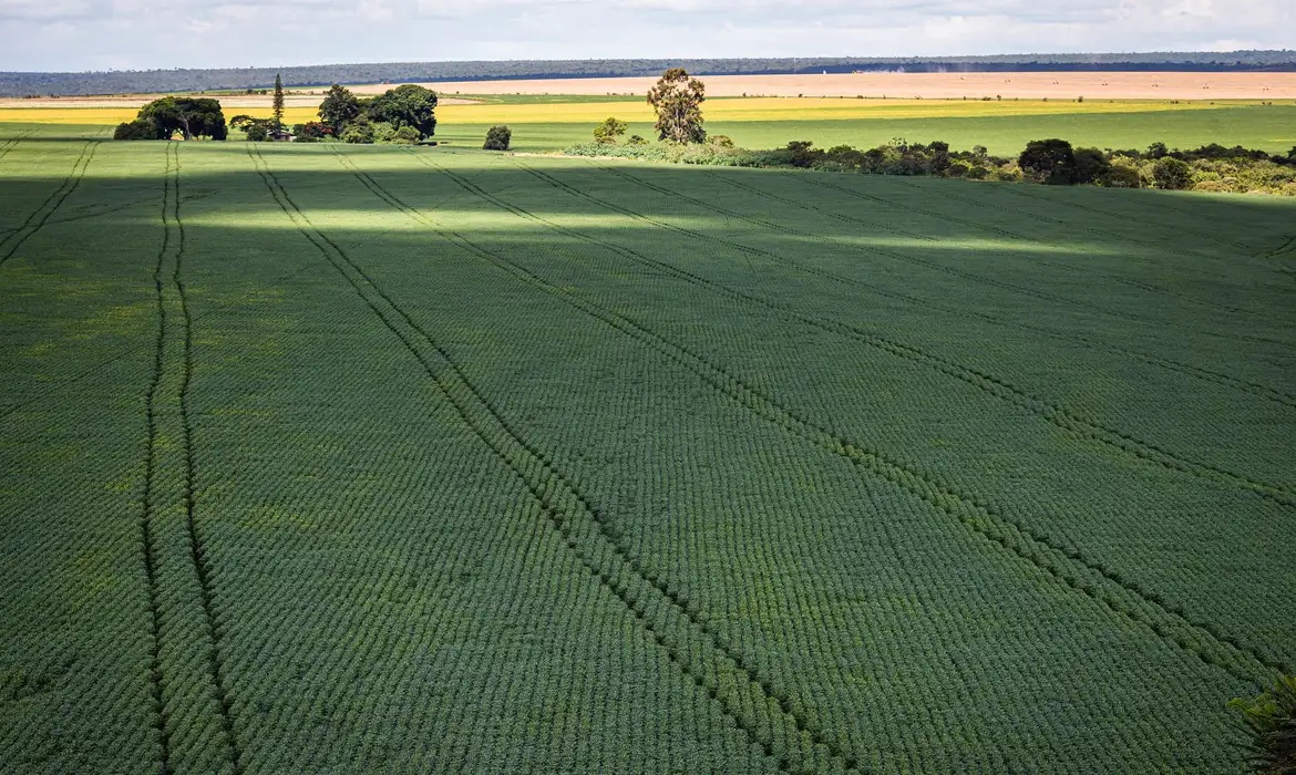 Fabricação de fertilizantes