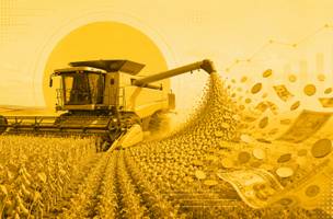 Agro cresce 2,8% no 2º trimestre, acima do ritmo do PIB brasileiro (Foto: Imagem gerada por IA)