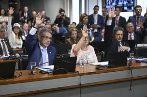 Pec da segurança pública (Foto: Senado)