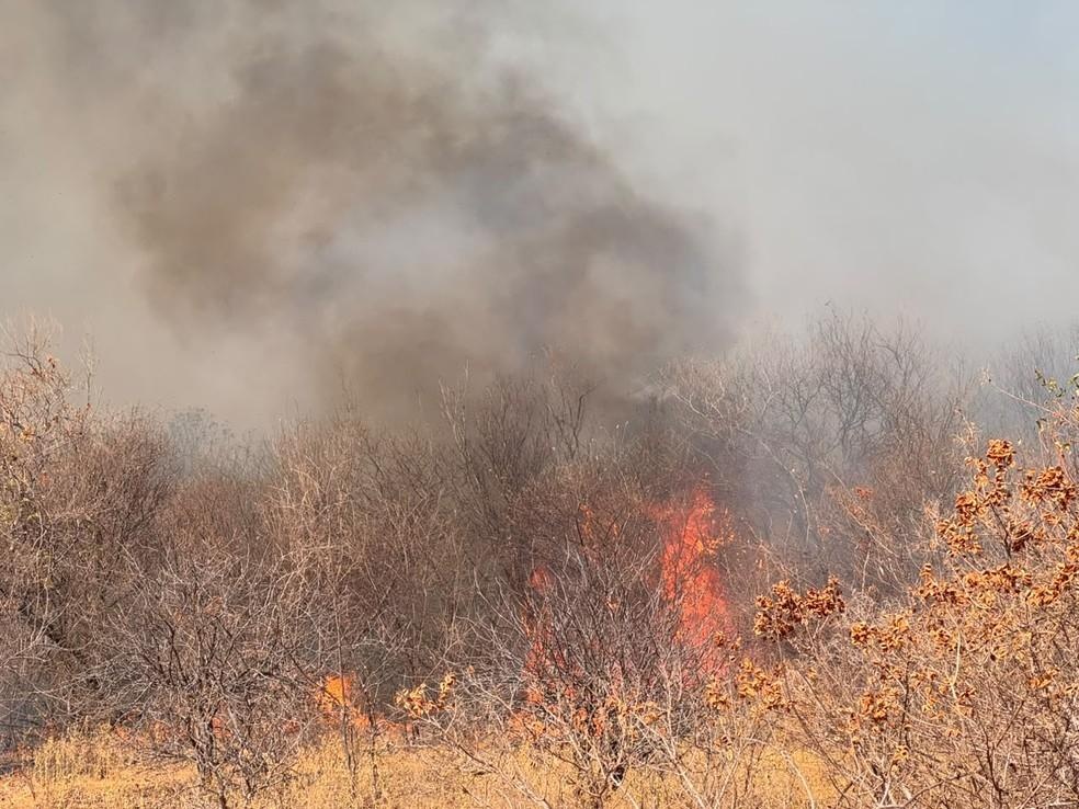 Piauí lidera em número de focos de incêndio com quase 280 registros em 24 horas, conforme o INPE