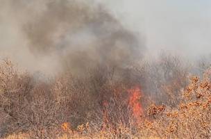 Piauí lidera em número de focos de incêndio com quase 280 registros em 24 horas, conforme o INPE (Foto: Divulgação/Secretaria de Meio Ambiente/São João do Piauí)
