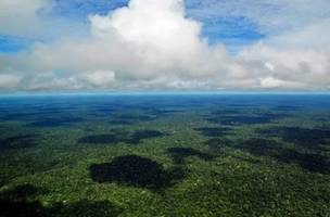 Relatório alerta para o risco de a Amazônia atingir um ponto crítico de degradação. (Foto: Neil Palmer/Divulgação)