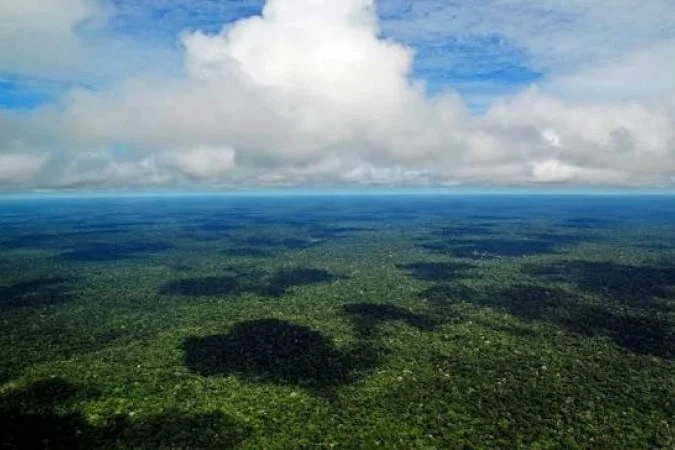 Relatório alerta para o risco de a Amazônia atingir um ponto crítico de degradação.