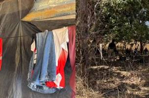 Trabalhadores foram resgatados durante operação no interior do Piauí. (Foto: Reprodução)