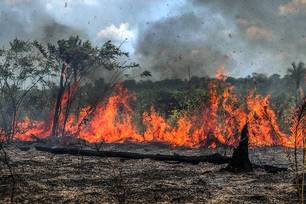 Uso do fogo é suspenso temporariamente em 12 municípios do Piauí. (Foto: Reprodução)