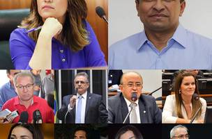 Piauí terá uma das maiores bancadas femininas na Câmara (Foto: -)