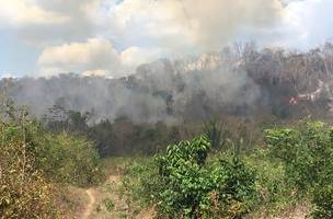 Incêndio atinge vegetação e moradora reclama da demora dos bombeiros para atender a ocorrência (Foto: -)