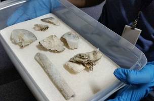 Fragmentos do crânio de Luzia são encontrados no Museu Nacional (Foto: -)