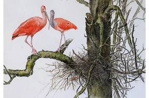 Exposições abrem para visitação no Espaço Multiuso da Univali (Foto: -)