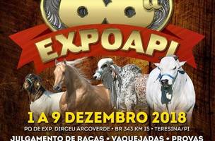 Expoapi divulga programação oficial de shows (Foto: -)