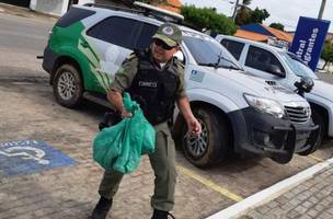 Policia apreende grande quantidade de drogas no litoral do Piauí (Foto: -)