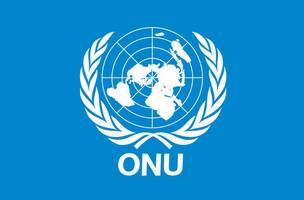 ONU busca coordenador de projeto no Piauí. Salário é de R$ R$10.750,00 (Foto: -)