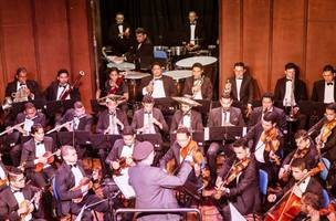 Orquestra Sinfônica de Teresina encerra Concertos Matinais de maio (Foto: -)