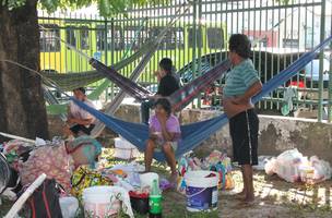 Vistoria retira mais de 50% dos venezuelanos dos sinais de trânsito de Teresina (Foto: -)