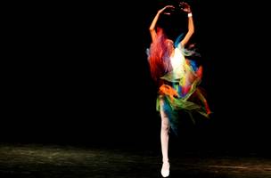 Festival de Dança oferece oficinas e palestras para bailarinos (Foto: -)