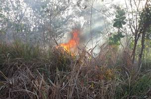 Incêndio atinge vegetação e assusta moradores de condomínio (Foto: -)