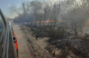 Corpo de Bombeiros chega a atender 15 ocorrências de incêndios por dia no Piauí (Foto: -)
