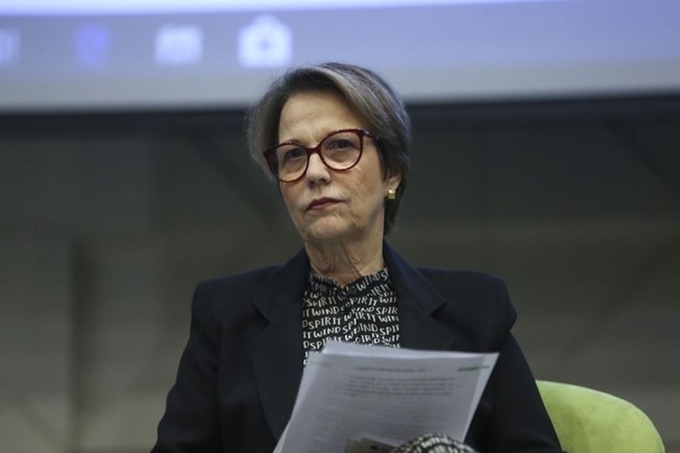 ministra da Agricultura, Pecuária e Abastecimento, Tereza Cristina