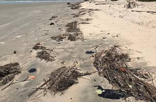 Governo investiga navios que podem ser origem do óleo que atingiu praias do Piauí (Foto: -)