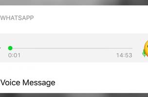 WhatsApp traz novidades para iPhone: tocar áudio pela notificação e envio de memojis (Foto: -)