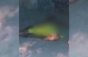 Homem de 50 anos é assassinado a pauladas no interior do Piauí (Foto: -)