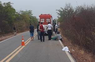 Acidente com ônibus deixa quatro pessoas mortas na BR 135 (Foto: -)