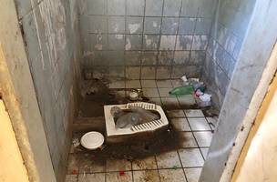 Celas de delegacia são interditadas depois de MP constatar situação de insalubridade (Foto: -)