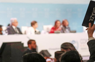 Após relutância brasileira, COP25 chega a acordo final (Foto: -)